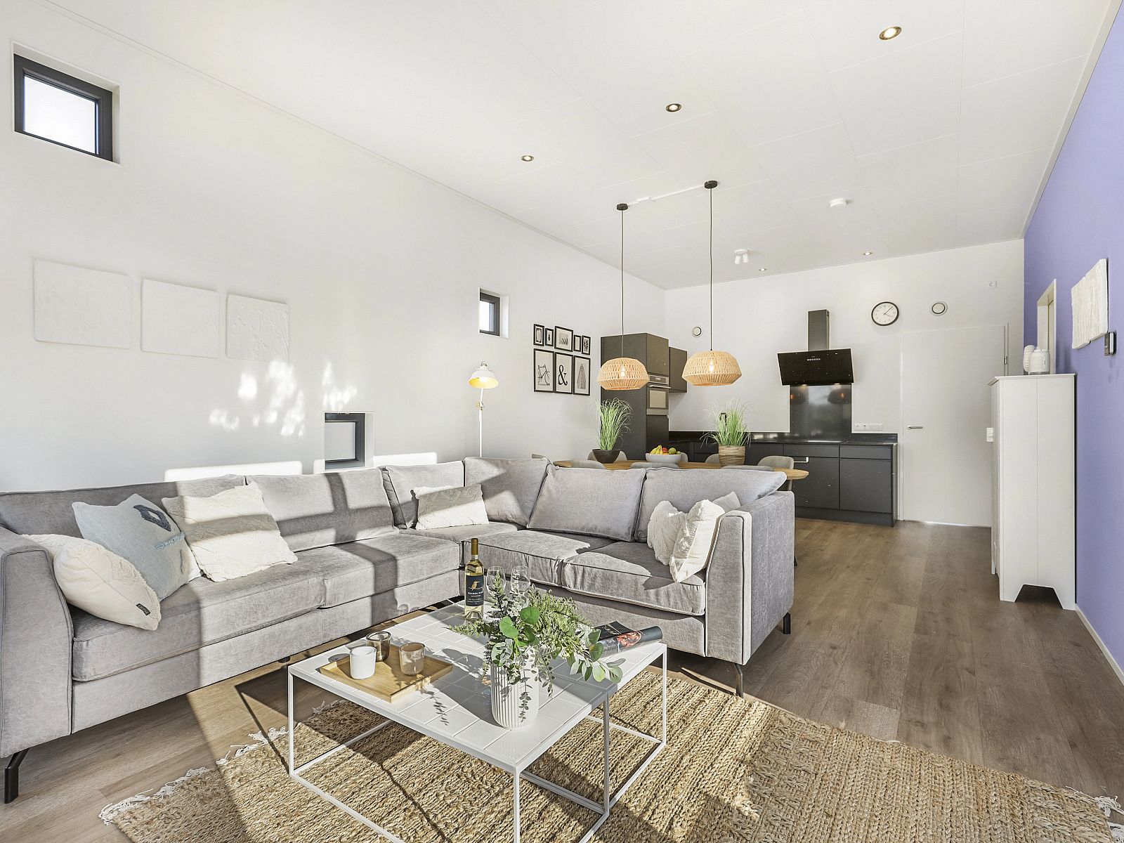 Stylish sitting area in The Butterflyhoeve 8-person house with modern decoration.