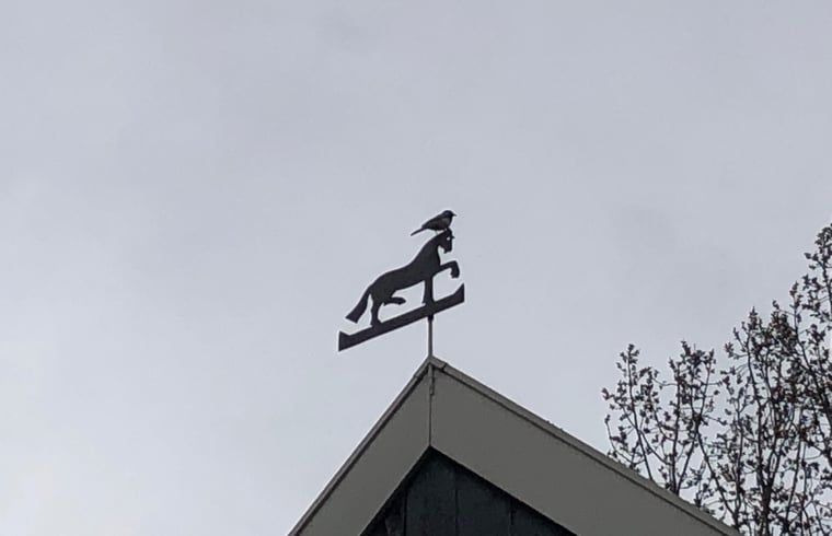 Guest house 297714 - Holiday property Achterhoek - Huisje in Winterswijk - Meddo