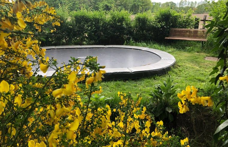 Guest house 297714 - Holiday property Achterhoek - Huisje in Winterswijk - Meddo