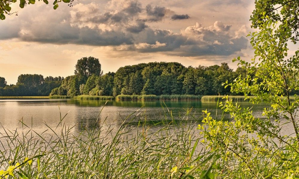 Verblijf 297715 - Vakantiewoning Achterhoek - Villa Winterswijk