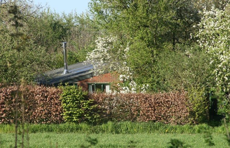 Herfstlandschap bij Vakantiehuis in Voorst Oude IJsselstreek, Achterhoek, Gelderland met rode daken en bomen.