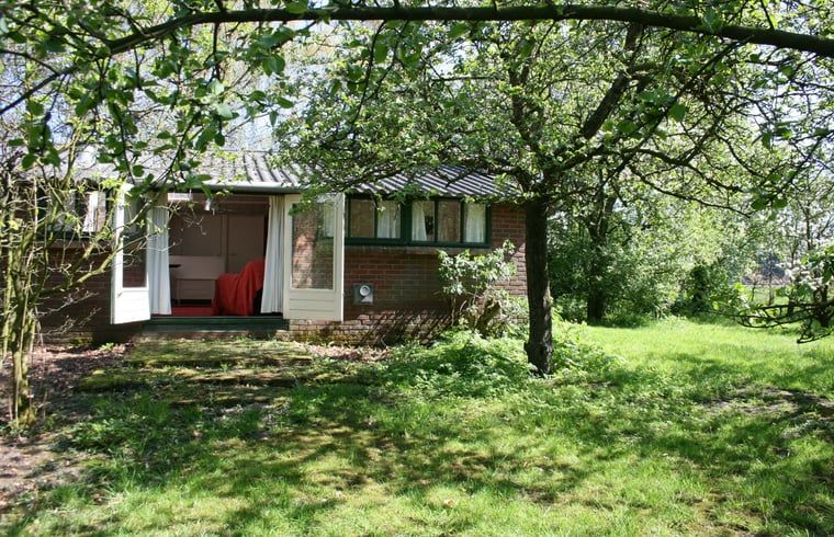Rustieke tuin bij Vakantiehuis in Voorst Oude IJsselstreek, Achterhoek, Gelderland met picknicktafel en groene omgeving.