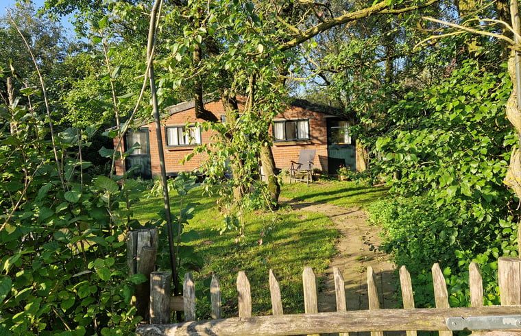 Sfeervolle herfsttuin van Vakantiehuis in Voorst Oude IJsselstreek, Achterhoek, Gelderland met hond in de tuin.