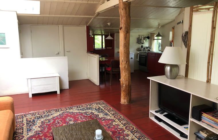 Gezellige woonkamer in Vakantiehuis in Voorst Oude IJsselstreek, Achterhoek, Gelderland met oranje bank en tapijt.