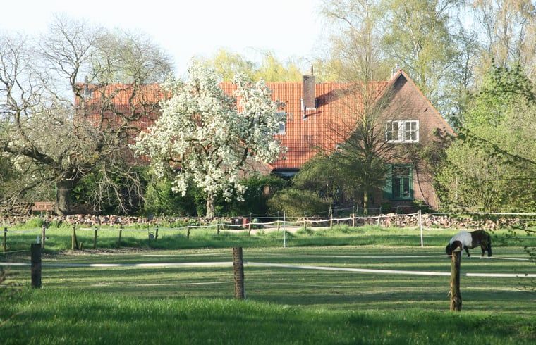 Kippen in de sneeuw bij Vakantiehuis in Voorst Oude IJsselstreek, Achterhoek, Gelderland in de winter.