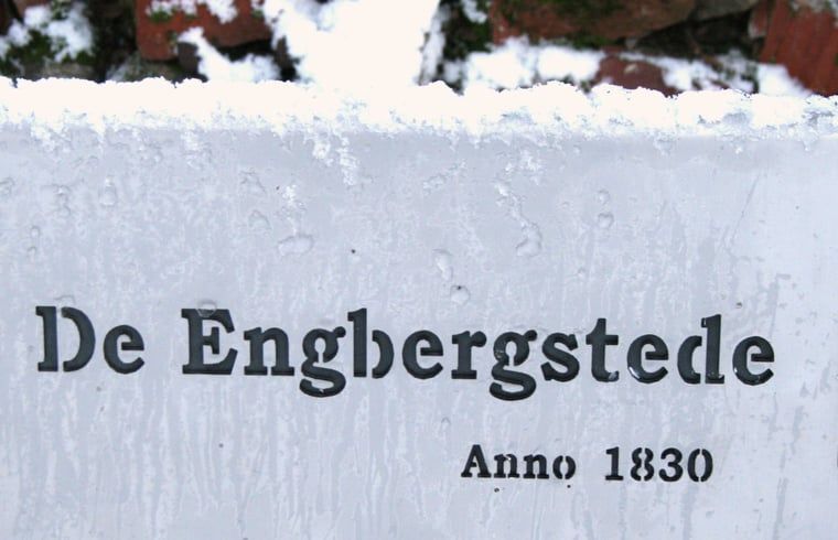 Uitzicht op weilanden en bomen bij Vakantiehuis in Voorst Oude IJsselstreek, Achterhoek, Gelderland in de schemering.