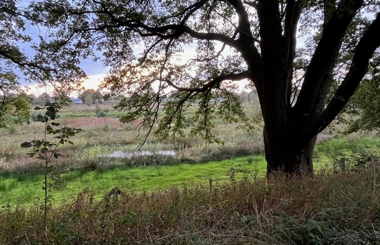 Vijverlandschap bij zonsopgang bij Vakantiehuis in Voorst Oude IJsselstreek, Achterhoek, Gelderland met bomen.