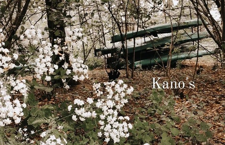 Guest house 297911 - Holiday property Achterhoek - Huisje in Voorst, Oude IJsselstreek