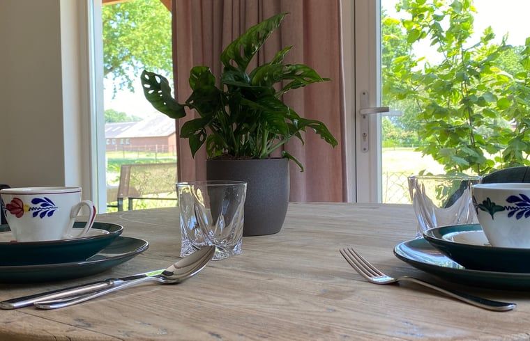 Unterkunft 298303 - Ferienhaus Achterhoek - Vakantiehuisje in Dinxperlo