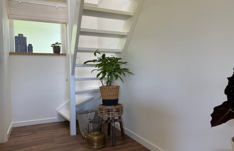 Unterkunft 298303 - Ferienhaus Achterhoek - Vakantiehuisje in Dinxperlo