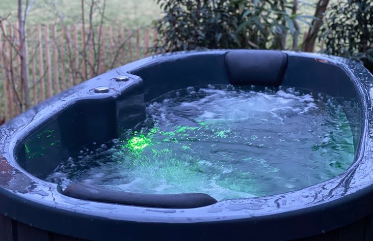 Unterkunft 298303 - Ferienhaus Achterhoek - Vakantiehuisje in Dinxperlo