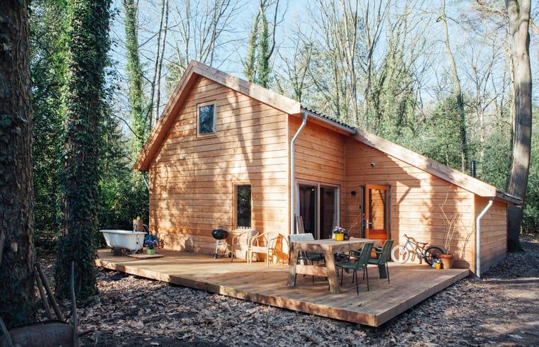 Holzhaus in Joppe, Achterhoek mit Terrasse und Waldgebiet.