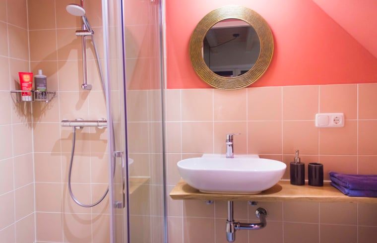 Stijlvolle badkamer met douche in Vakantiehuisje in Joppe, een oase in de Achterhoek, Gelderland.