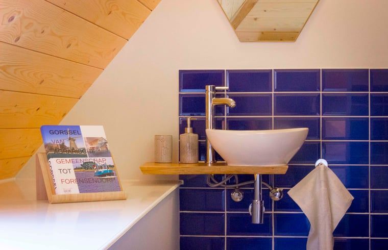 Kleine wastafel in slaapkamer van Vakantiehuisje in Joppe, praktisch comfort in de Achterhoek, Gelderland.