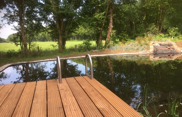 Zwemvijver met houten steiger in Vakantiehuisje in Joppe, genieten van de natuur in de Achterhoek, Gelderland.
