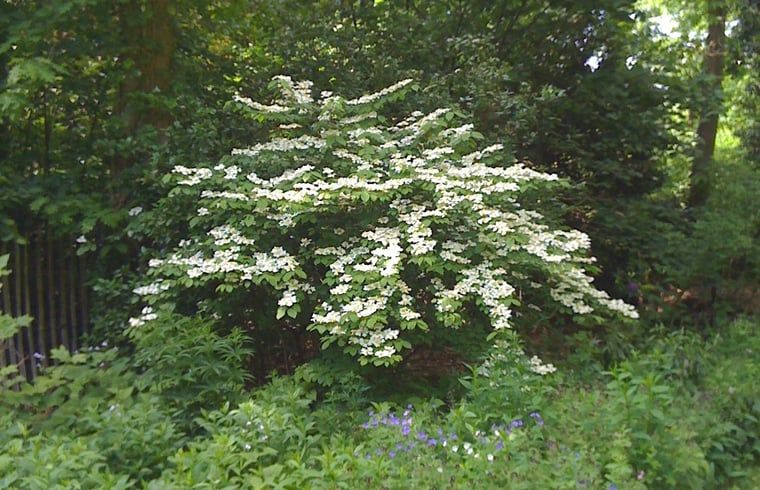 Unterkunft 298408 - Ferienhaus Achterhoek - Vakantiehuis in Joppe (bij Eefde)