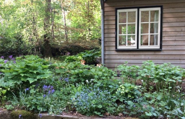 Unterkunft 298408 - Ferienhaus Achterhoek - Vakantiehuis in Joppe (bij Eefde)