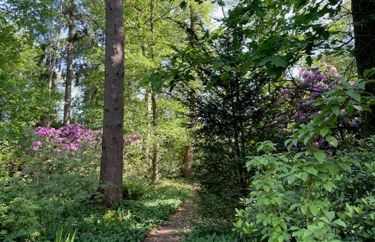 Unterkunft 298408 - Ferienhaus Achterhoek - Vakantiehuis in Joppe (bij Eefde)
