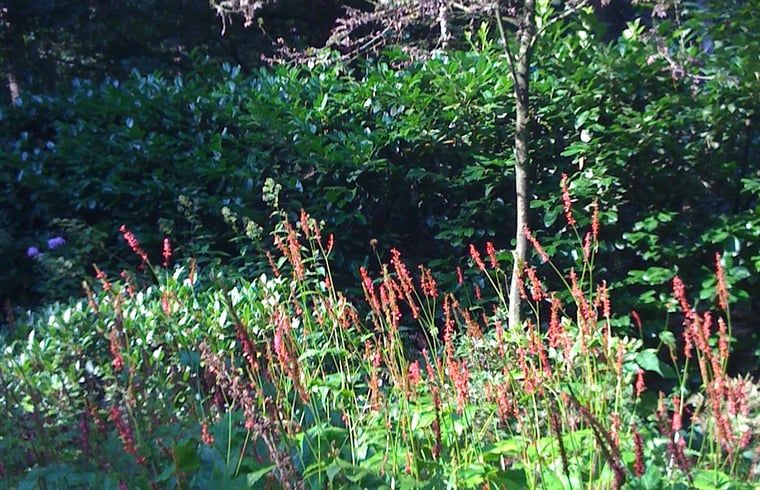 Unterkunft 298408 - Ferienhaus Achterhoek - Vakantiehuis in Joppe (bij Eefde)