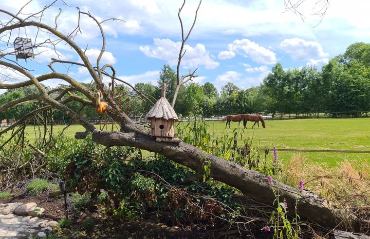 Schoene Aussicht auf die Wiese vom Ferienhaus in Winterswijk Corle, Achterhoek, Gelderland.