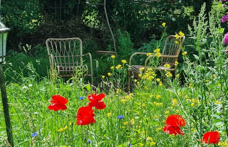 Aussenbereich mit bunten Blumen im Ferienhaus in Winterswijk Corle, Achterhoek.