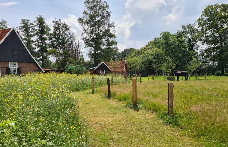 Schoene Natur rund um das Ferienhaus in Winterswijk Corle, Achterhoek, Gelderland.