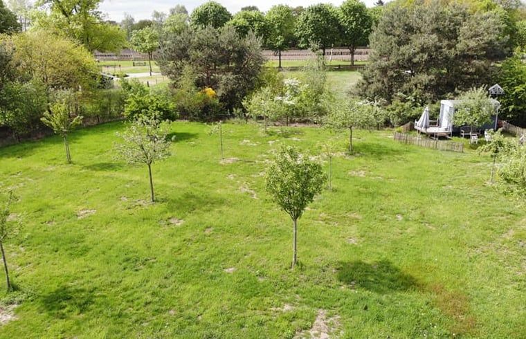 Unterkunft 298503 - Ferienhaus Achterhoek - Vakantiehuisje in Winterswijk Corle