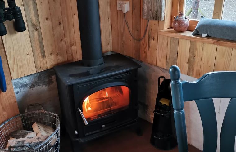 Unterkunft 298503 - Ferienhaus Achterhoek - Vakantiehuisje in Winterswijk Corle