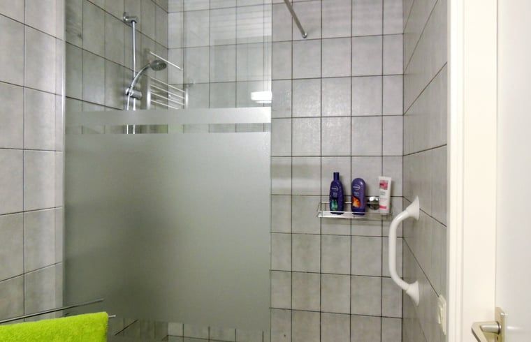 Modern bathroom with shower in Holiday home in Winterswijk Corle, Achterhoek, Gelderland.