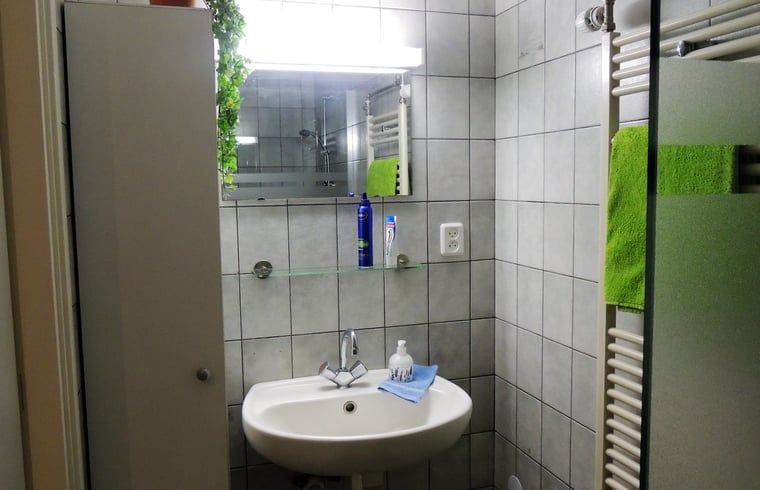 Stylish bathroom with sink in Holiday home in Winterswijk Corle, ideal for relaxation in Achterhoek, Gelderland.