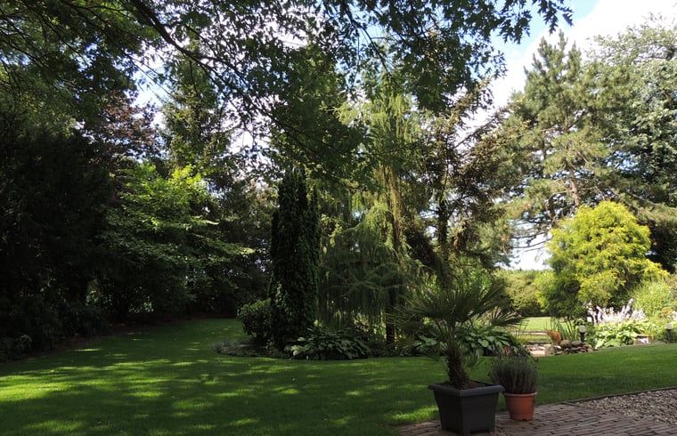 Lush garden at Holiday home in Winterswijk Corle, perfect for nature lovers in Achterhoek, Gelderland.