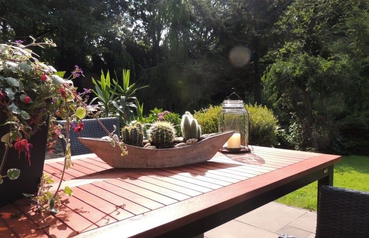 Terrace with decorative plants at Holiday home in Winterswijk Corle, ideal for outdoor dining in Achterhoek, Gelderland.
