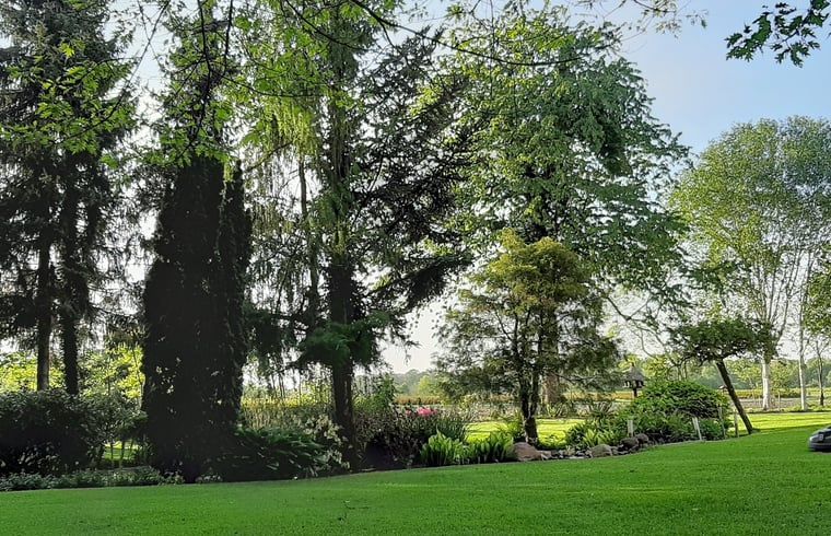View of green surroundings from the garden of Holiday home in Winterswijk Corle, Achterhoek, Gelderland.