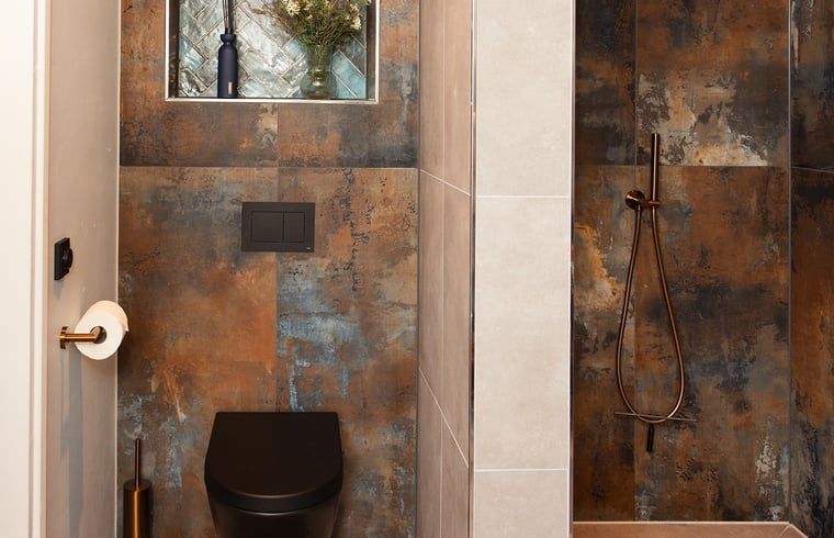 Stylish bathroom in Holiday Home in Wilp-Achterhoek with modern shower and toilet.