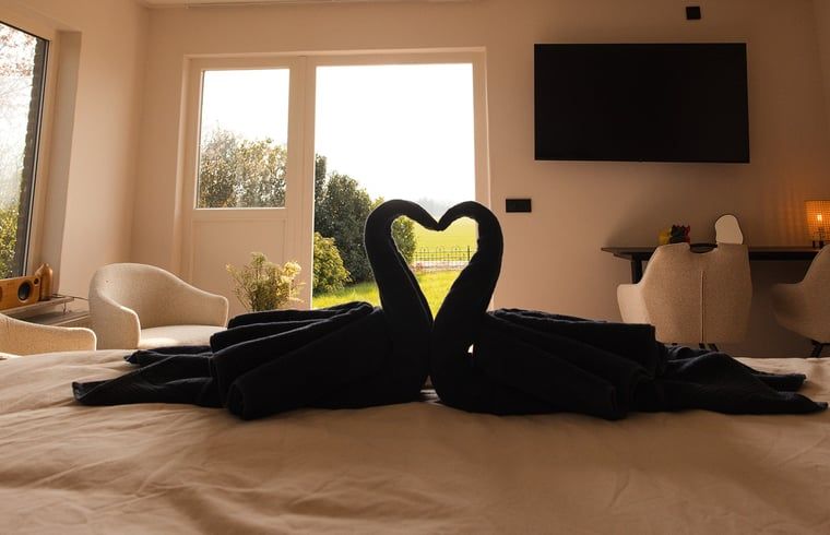 View from the bedroom of Holiday Home in Wilp-Achterhoek with swan towels.