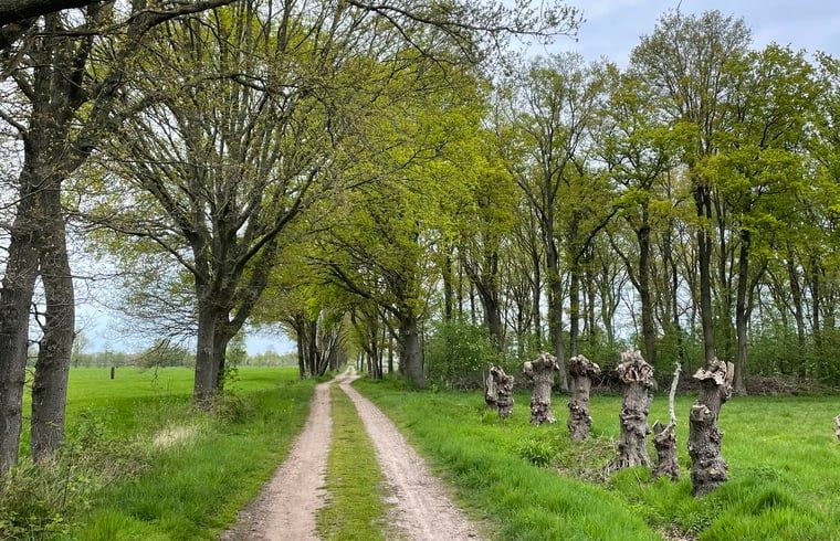 Unterkunft 298803 - Ferienhaus Achterhoek - Vakantiehuisje in Harreveld