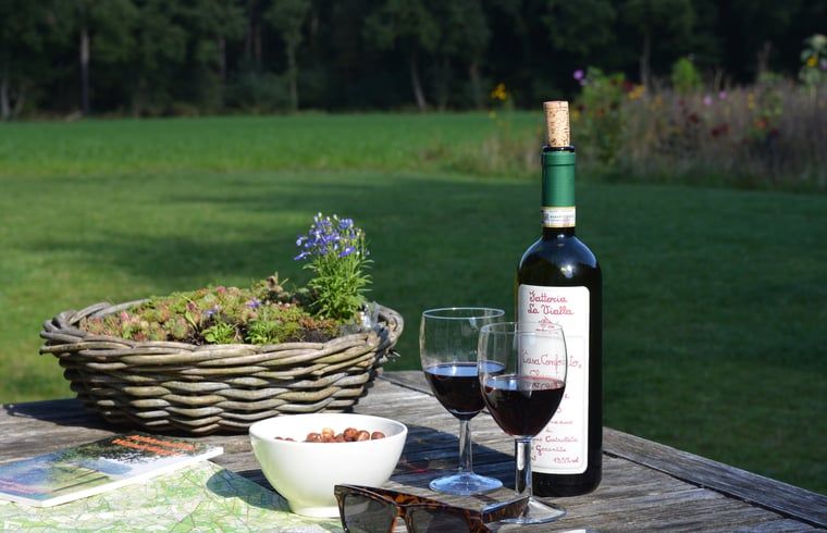 Ontspannen terras met wijn in Huisje in Varssel - Hengelo Gld, vakantiehuis in de Achterhoek, Gelderland.
