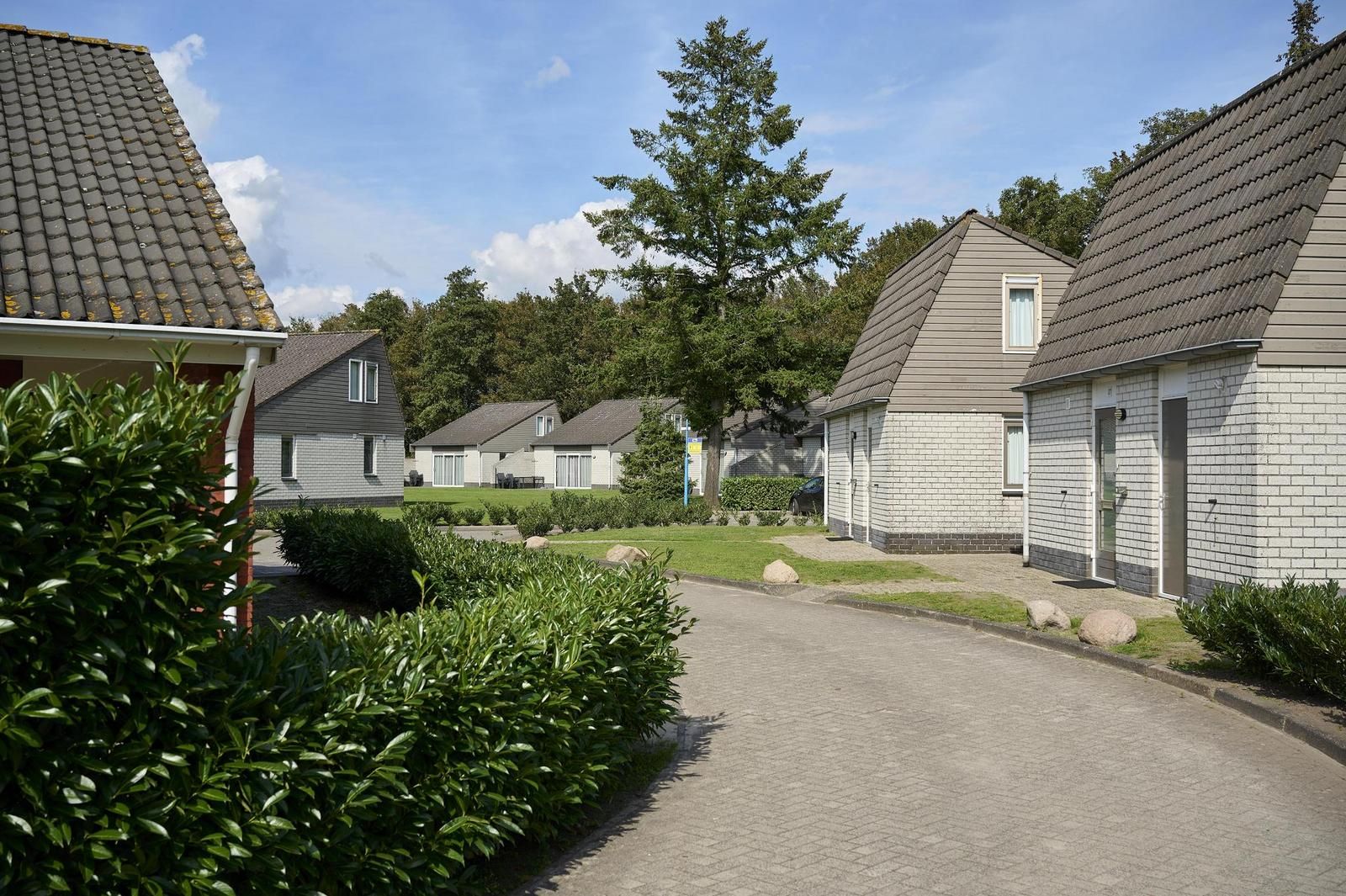 Gemuetliche Strasse der Ferienhaeuser Bungalow Comfort Deluxe in Elburg, umgeben von viel Gruen.
