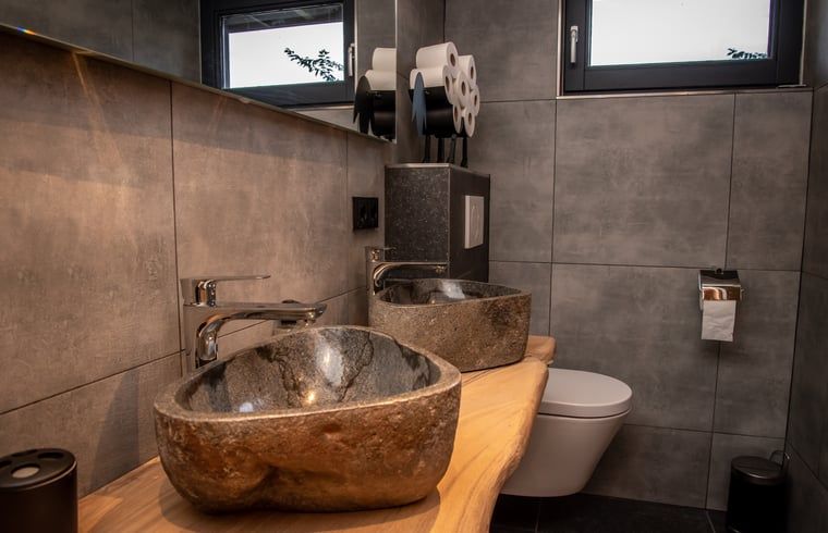 Stijlvolle badkamer in Huisje in Empe, vakantieverblijf Gelderland, met moderne wastafels en ramen.