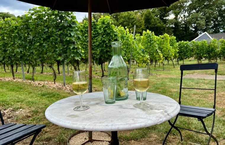 Wijnproeverij in de wijngaard van Huisje in Empe, vakantieverblijf Gelderland, met glazen witte wijn.