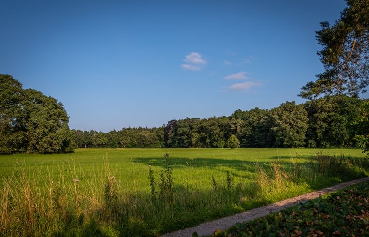 Uitzicht op groene velden bij Huisje in Empe, vakantieverblijf Gelderland, onder een heldere blauwe hemel.