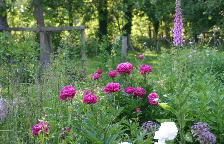Bloementuin bij Huisje in Empe, vakantieverblijf Gelderland, met kleurrijke bloemen en groen.