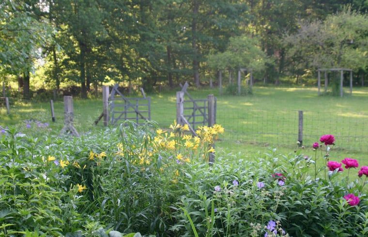 Tuin met wilde bloemen bij Huisje in Empe, vakantiehuis Gelderse vallei, omgeven door bomen.