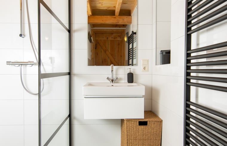 Moderne badkamer in Vakantiehuis in Empe, Gelderse vallei, met stijlvolle elementen en natuurlijke houtaccenten.