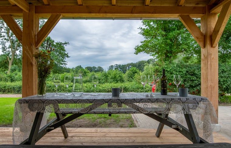 Verblijf 300805 - Vakantiewoning Gelderse vallei - Vakantiehuis in Empe