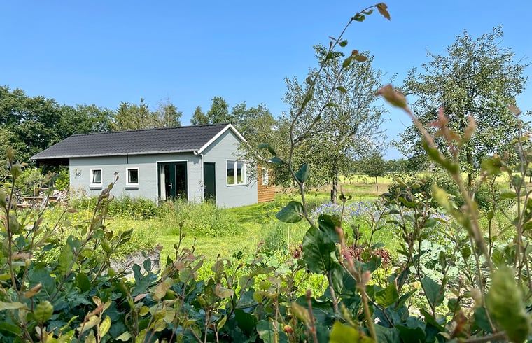 Unterkunft 300806 - Ferienhaus Gelderse vallei - Huisje in Empe