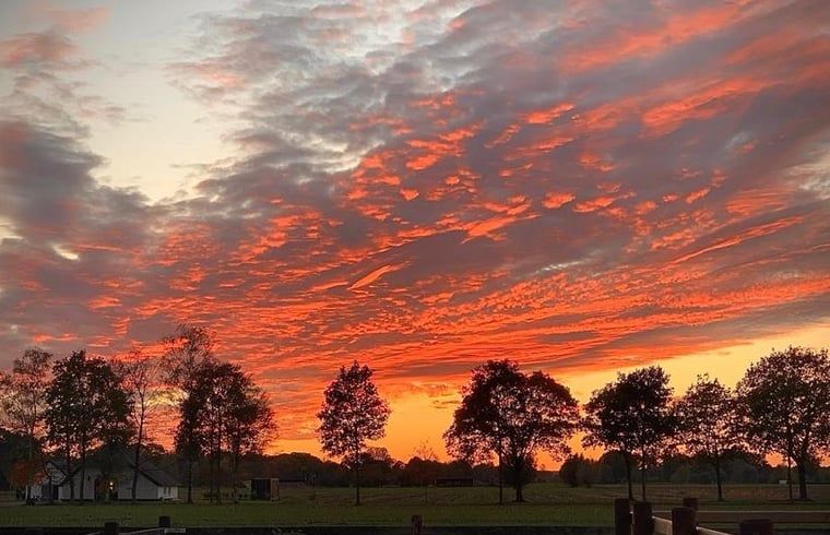 Unterkunft 300808 - Ferienhaus Gelderse vallei - Vakantiehuisje in Empe