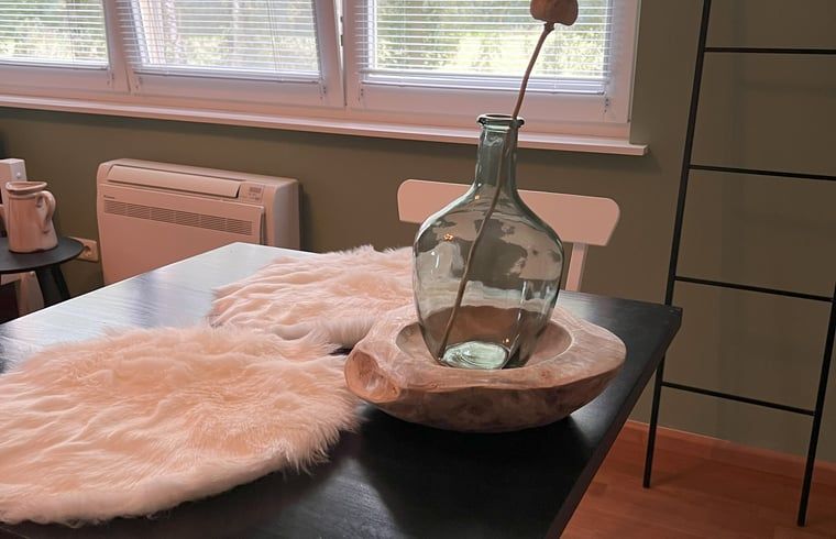 Unterkunft 300808 - Ferienhaus Gelderse vallei - Vakantiehuisje in Empe