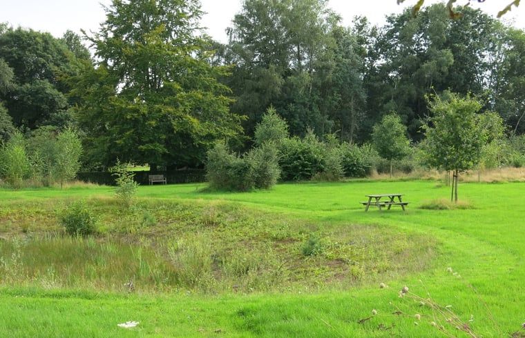 Groene weide bij Vakantiehuisje in Tonden, Gelderse vallei, Gelderland met picknickmogelijkheden.