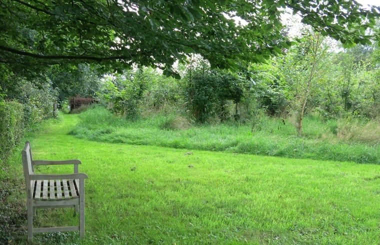 Rustige wandelpaden bij Vakantiehuisje in Tonden, Gelderse vallei, Gelderland omgeven door natuur.